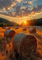 ai generato fieno balle su il campo dopo raccogliere Polonia foto