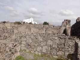 pompei, il antico romano città sepolto di il eruzione di montare vesuvio, sta come un' unesco mondo eredità luogo, offerta un' unico intravedere in quotidiano vita durante il romano impero. foto