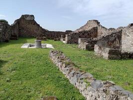 pompei, il antico romano città sepolto di il eruzione di montare vesuvio, sta come un' unesco mondo eredità luogo, offerta un' unico intravedere in quotidiano vita durante il romano impero. foto