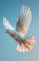 ai generato bianca colomba volante nel il cielo foto