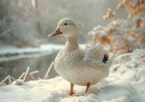 ai generato bianca anatra in piedi nel il neve foto