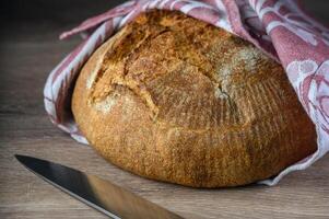 delizioso fatti in casa totale grano pane appena al forno 11 foto