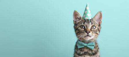 ai generato celebrazione, contento compleanno, Silvestro nuovo anni vigilia festa, divertente animale saluto carta - carino poco gatto animale domestico con festa cappello e arco cravatta su blu parete sfondo struttura foto