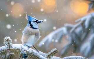 ai generato il gelido ballata di il blu ghiandaia foto