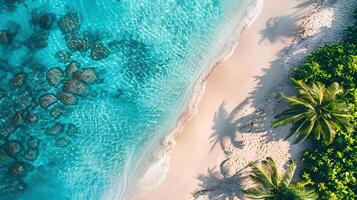 azzurro costa di il oceano con palma alberi, sabbia, Surf e conchiglie. ai generato foto