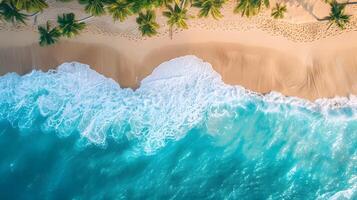 azzurro costa di il oceano con palma alberi, sabbia, Surf e conchiglie. ai generato foto