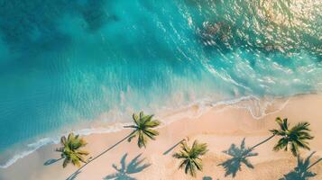 azzurro costa di il oceano con palma alberi, sabbia, Surf e conchiglie. ai generato foto