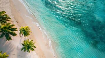 azzurro costa di il oceano con palma alberi, sabbia, Surf e conchiglie. ai generato foto