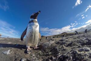ai generato re pinguino sta alto su antartico riva - natura e natura conservazione Immagine foto