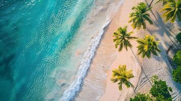 ai generato azzurro costa di il oceano con palma alberi, sabbia, Surf e conchiglie. ai generato foto