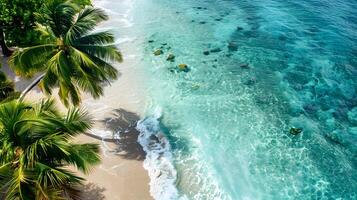 azzurro costa di il oceano con palma alberi, sabbia, Surf e conchiglie. ai generato foto