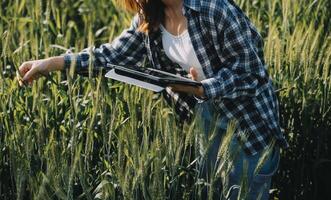 inteligente azienda agricola. contadino con tavoletta nel il campo. agricoltura, giardinaggio o ecologia concetto. raccolta. agro attività commerciale. foto