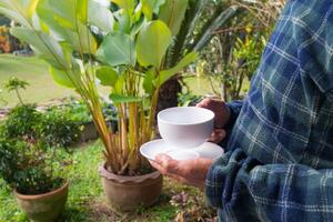 avvicinamento di mani anziano uomo Tenere un' tazza di caffè mentre in piedi nel un' giardino. spazio per testo. concetto di anziano persone e bevanda foto