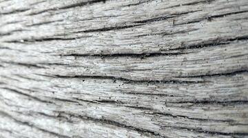 vecchio legna struttura sfondo superficie con vecchio naturale modello o vecchio legna struttura tavolo superiore Visualizza. foto