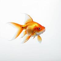 ai generato oro pesce isolato su bianca sfondo. ai generativo foto