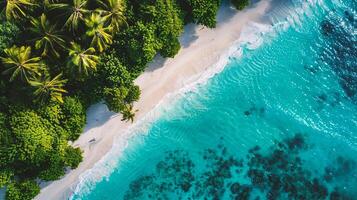 ai generato aereo Visualizza di bellissimo tropicale spiaggia e mare con Noce di cocco palma albero per viaggio e vacanza foto