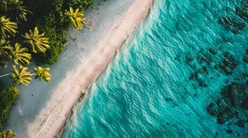 ai generato aereo Visualizza di bellissimo tropicale spiaggia e mare con Noce di cocco palma albero per viaggio e vacanza foto