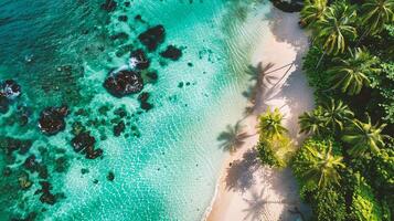 ai generato aereo Visualizza di bellissimo tropicale spiaggia e mare con Noce di cocco palma albero per viaggio e vacanza foto