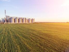 moderno metallo silos su agro-trasformazione e produzione pianta. aereo Visualizza di granaio ascensore in lavorazione essiccazione pulizia e Conservazione di agricolo prodotti, Farina, cereali e grano. nessuno. foto