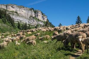 passaggio di sì, santo pierre de certosa, isere, Francia foto