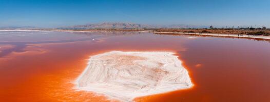 rosa sale stagni a alviso marina contea parco foto