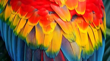 ai generato un' vicino su di un' multicolore di pappagallo piume foto