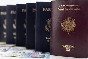 unito stati e Francia passaporti su moneta trasparente sfondo, base telecamera angolo foto