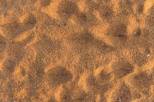 giallo grumoso sabbia sfondo su il spiaggia nel lato tramonto luce. ricco Immagine foto