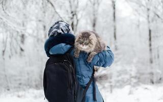 donna trasporto un' gatto su sua spalla fuori, nel il inverno foresta. soffice gatto con un' triste espressione su il suo viso, guardare lontano foto