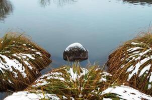 ceppo e cespuglio di verde erba coperto con neve nel il mezzo di il lago foto