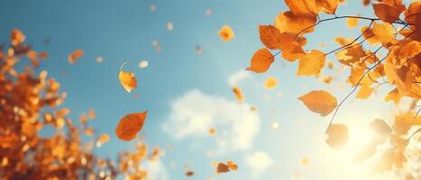 ai generato autunno striscione, caduto giallo le foglie contro cielo su soleggiato giorno foto