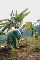 Esplorare sentul bogor spettacolare cascate e foresta sentieri. un' escursioni a piedi avventura con amici nel gunung pancar. sbalorditivo fotografia - meraviglioso Indonesia foto