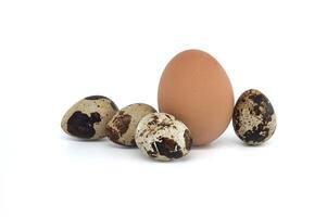Marrone uovo e più piccolo Quaglia uova isolato su bianca foto