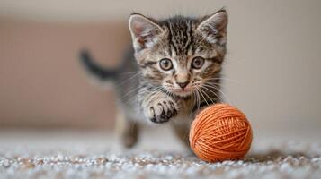 ai generato gattino giocando con palla di filato foto