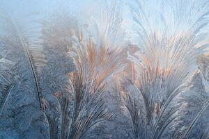 ghiacciato gelido modelli su il bicchiere. inverno sfondo. foto