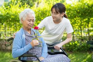 asiatico anziano donna Tenere rosso rosa fiore, Sorridi e contento nel il soleggiato giardino. foto