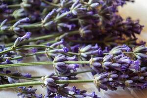 fresco lavanda fiori su un' bianca di legno sfondo. foto