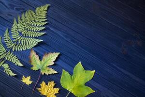 bellissimo autunno le foglie e asciutto felce su blu di legno sfondo. foto