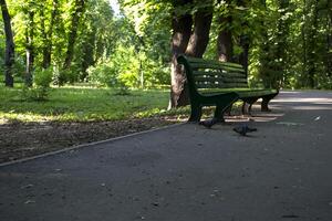 vuoto panchina nel estate parco. foto