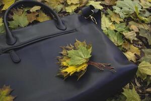 il caduto le foglie di acero su il blu Borsa. autunno sfondo. foto