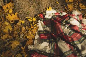 scacchi plaid su il autunno le foglie nel il parco. foto