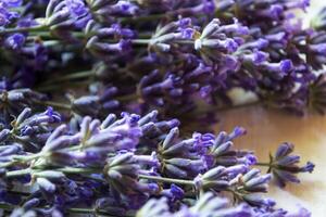 fresco lavanda fiori su un' bianca di legno sfondo. foto