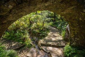 giardino di Eden giardino collocato nel sintra, Portogallo foto