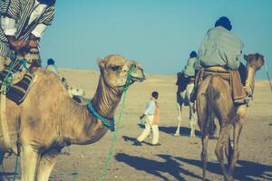 beduini principale turisti su cammelli a corto turista giro in giro il inizio così chiamato porte di sahara deserto foto