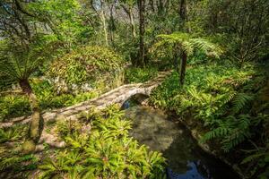 Portogallo, giardino di monserrato palazzo nel sintra foto