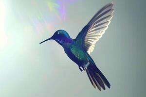 ai generato colibrì volante con diffusione Ali foto