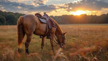 ai generato Marrone cavallo in piedi su asciutto erba campo foto