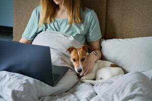 donna con carino cane dire bugie nel letto e utilizzando il computer portatile a mattina foto