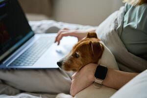 donna con carino cane dire bugie nel letto e utilizzando il computer portatile a mattina foto