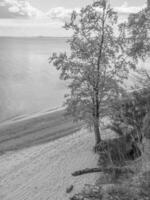 spiaggia nel Polonia foto